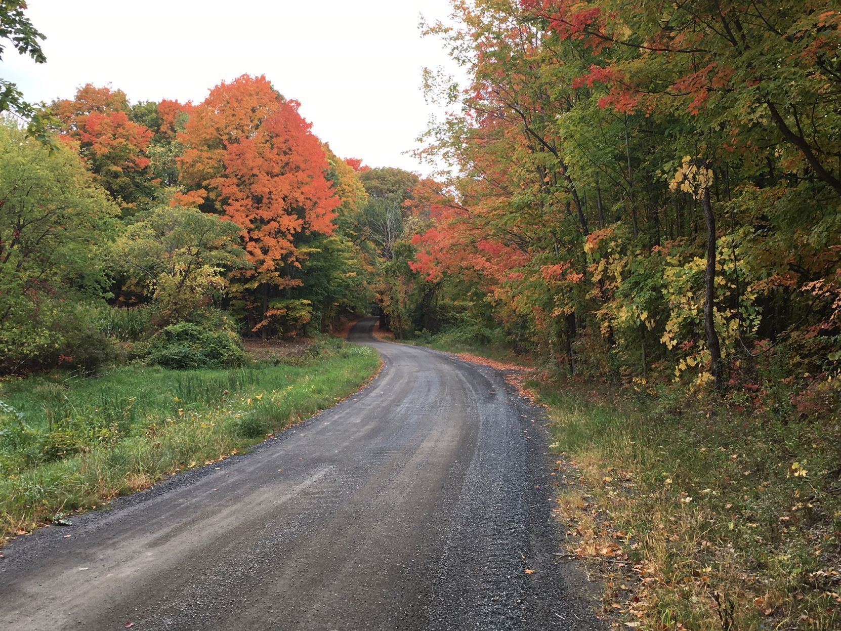Coach Road